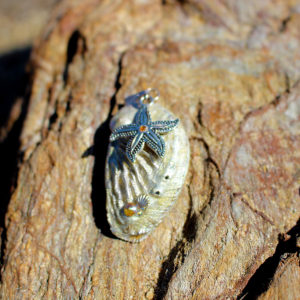 Pendentif "étoile sur son coquillage" - pendentif de sirène - bijoux Galatée Merveilles - pendentif de coquillage - bijoux de sirène - bijoux de coquillage - bijoux fantaisies - colliers de sirène