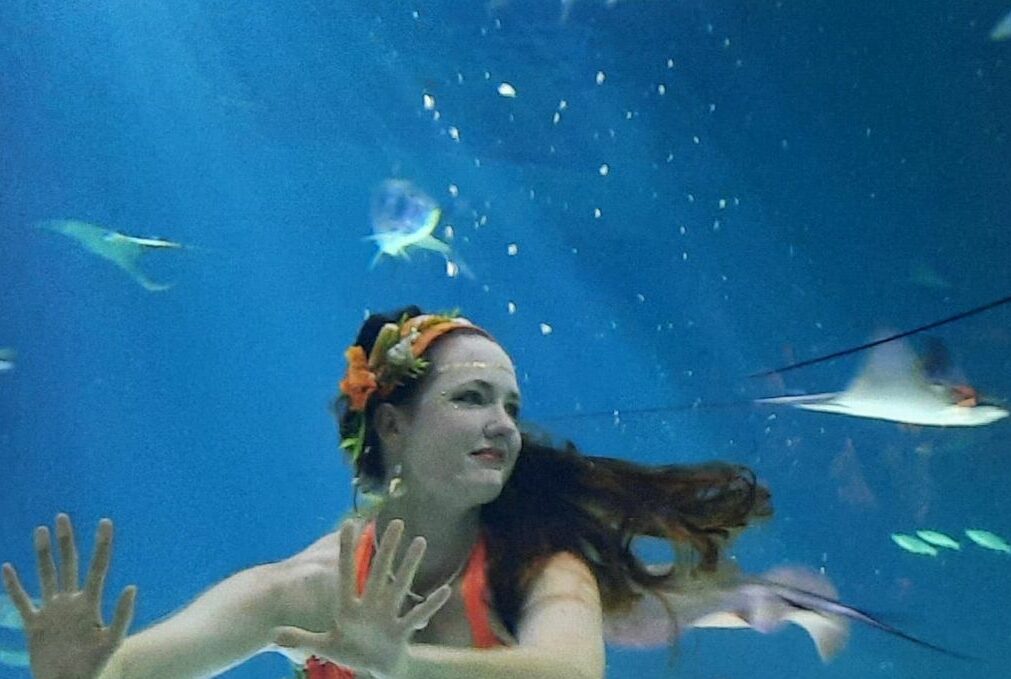 Show aquarium compagnie néréïdes, spectacle de sirènes, première compagnie de spectacles de sirènes de France, spectacle en aquarium, aquarium show, sirène diplômée